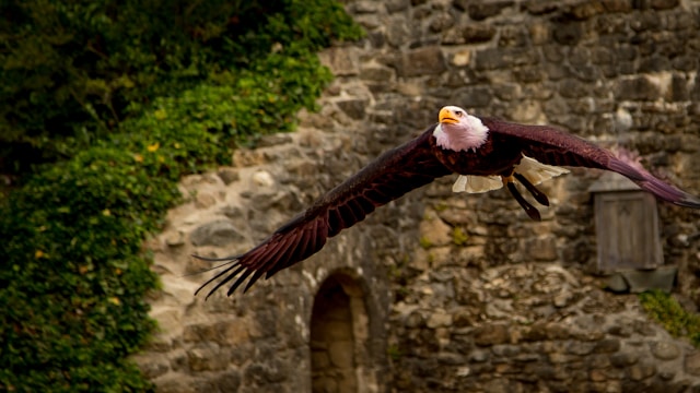 Top 5 des Campings Familiaux à 30 Minutes du Puy du Fou